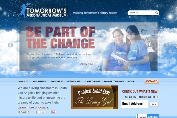 Aid theme site design template sample