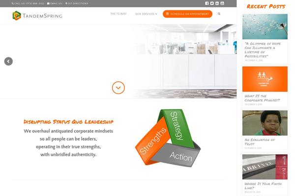 tandemspring.com site used Thejoytheory