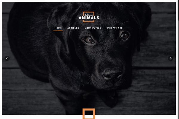 Site using Announcement Bar plugin