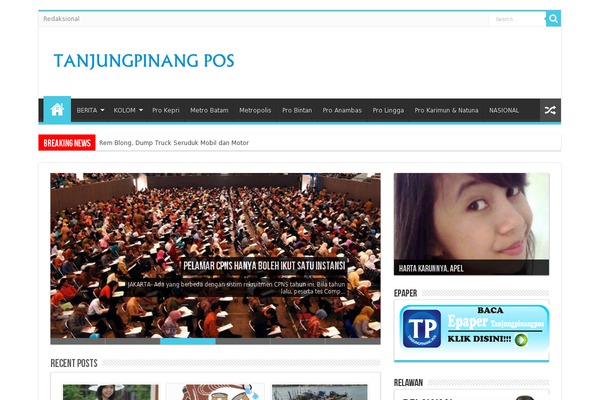 WordPress website example screenshot