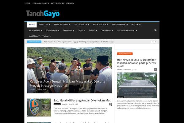 NewsMag theme site design template sample