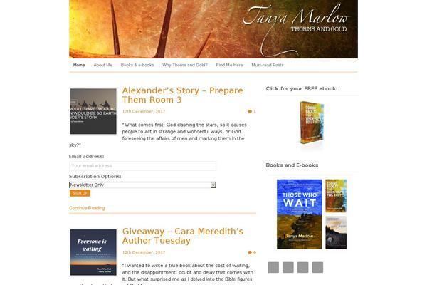 Site using Yith-footer-banner plugin