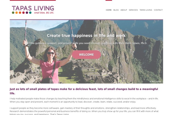 Hustle theme site design template sample