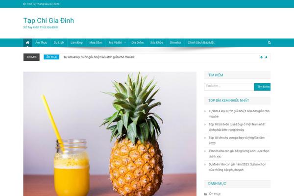 News Portal theme site design template sample