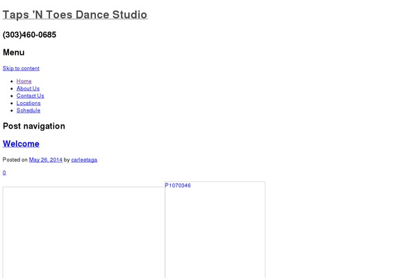 Lodestar theme site design template sample