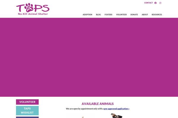 Joyn-child theme site design template sample