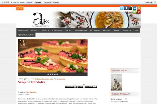 tarabucatelor.ro site used Satio
