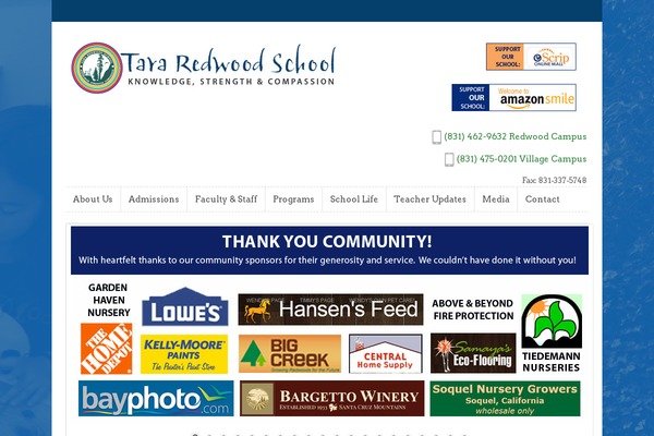 Site using Tenweb-speed-optimizer plugin
