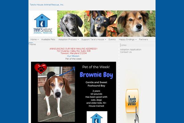 Dot-B theme site design template sample