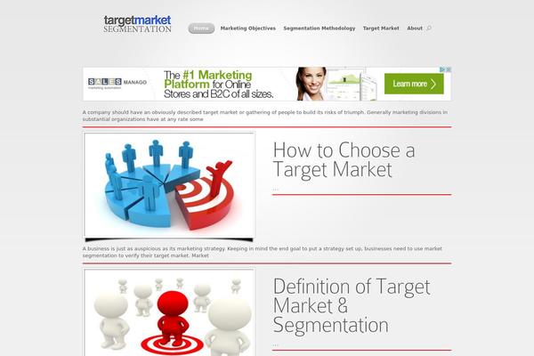FlyMag theme site design template sample