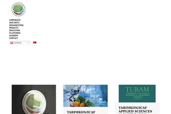 Site using GTranslate - Google Translate plugin