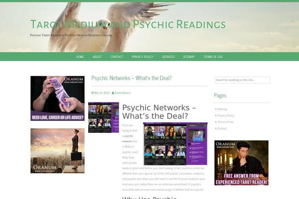 Reizend theme site design template sample