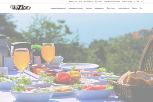 Enfold-child theme site design template sample