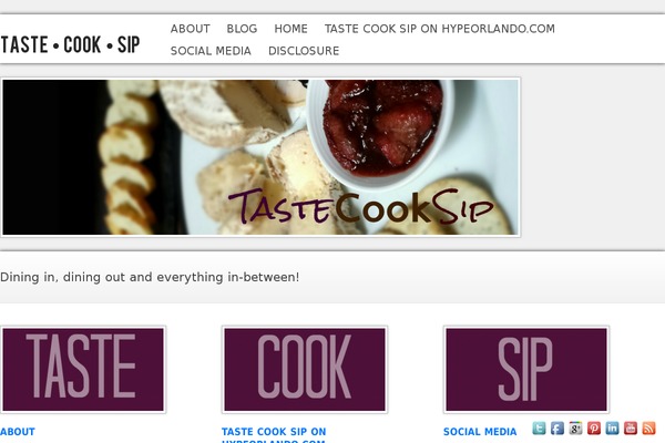 WP Opulus theme site design template sample