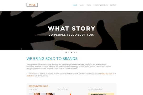 Flash-pro theme site design template sample