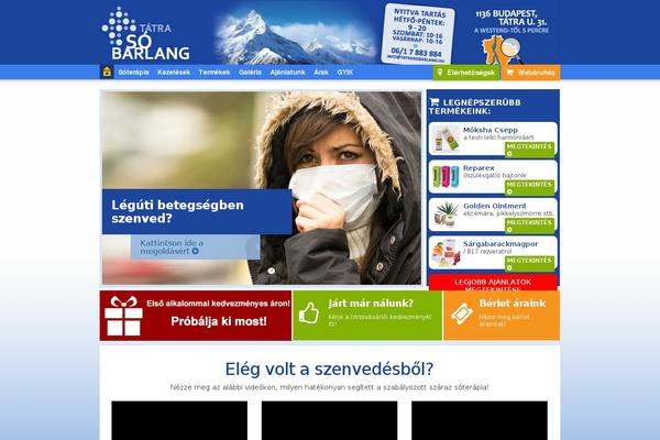 Avada Child Theme theme site design template sample