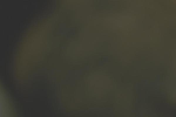 Tattoopro theme site design template sample