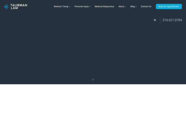 WizeLaw theme site design template sample