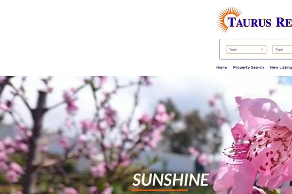 Realty theme site design template sample