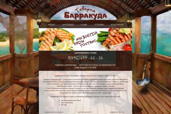 bara theme websites examples