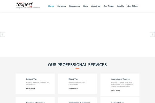 Consulting-child theme site design template sample