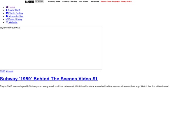 v04 theme websites examples