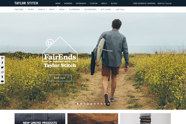 Synthesis theme websites examples