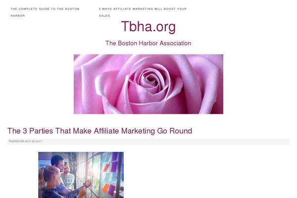 tbha.org site used Bostonharbornow