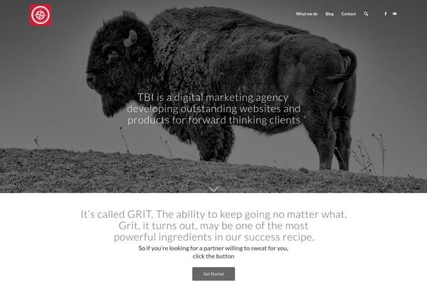 Site using WP Fontallic Easypromoweb plugin