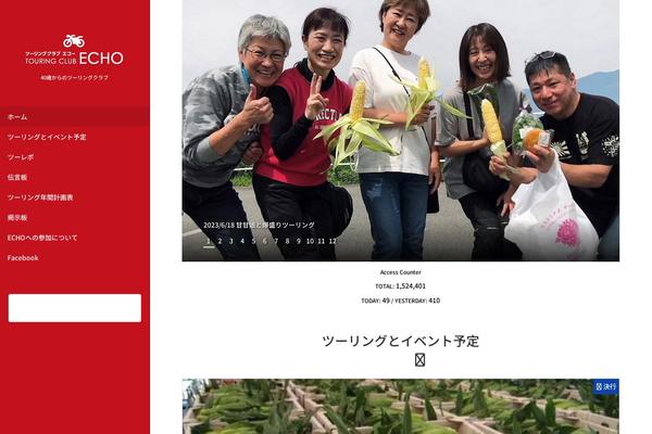 tc-echo.com site used Katawara-child
