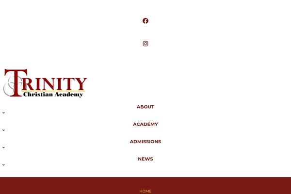 tcaparis.com site used Pro-child