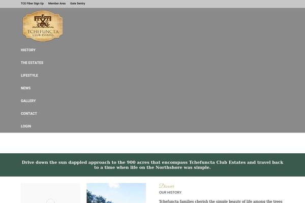 The7 Child theme site design template sample