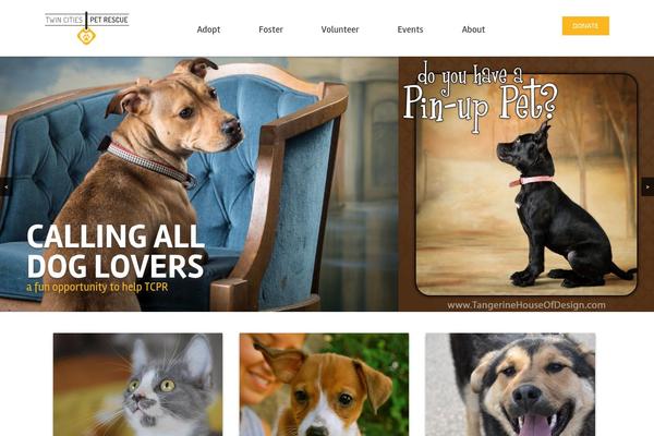 Blog Perk theme site design template sample