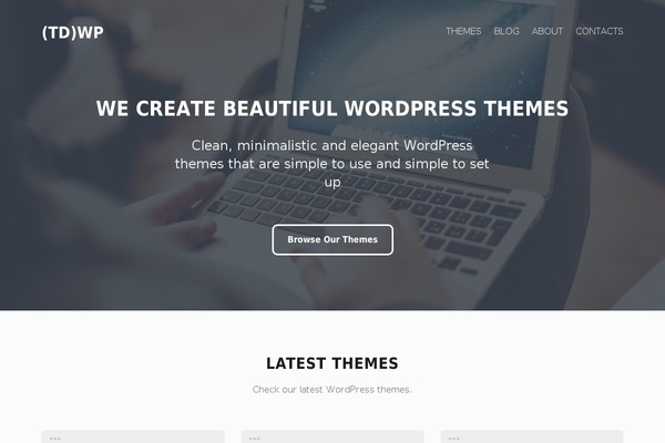 tdMinimal theme site design template sample