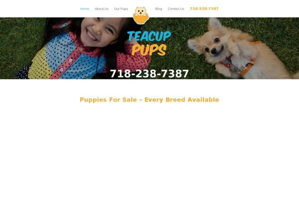 Divi Child theme site design template sample