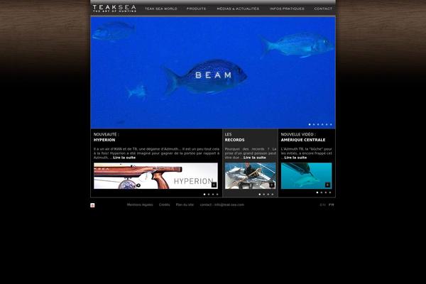 Site using Wpml-translation-management plugin