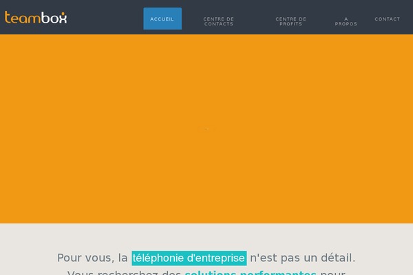 Winsiders theme site design template sample
