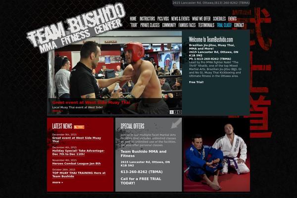teambushido.com site used Teambushido