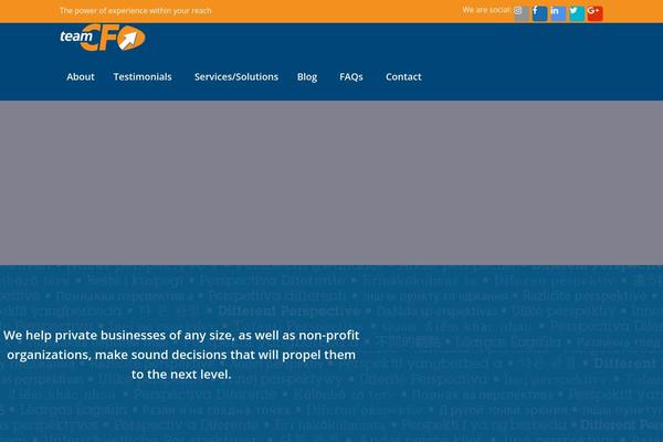teamcfo.com site used Teamcfo