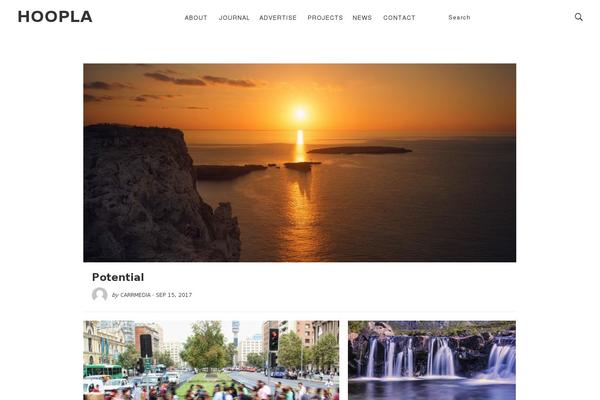 Diagnoseo theme site design template sample