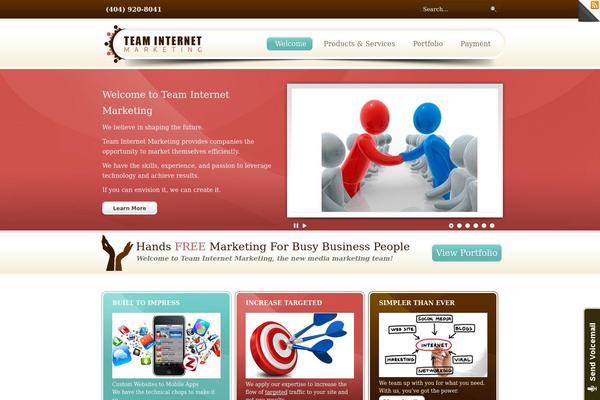 teaminternetmarketing.com site used Tim