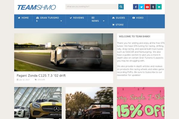 Pro theme site design template sample