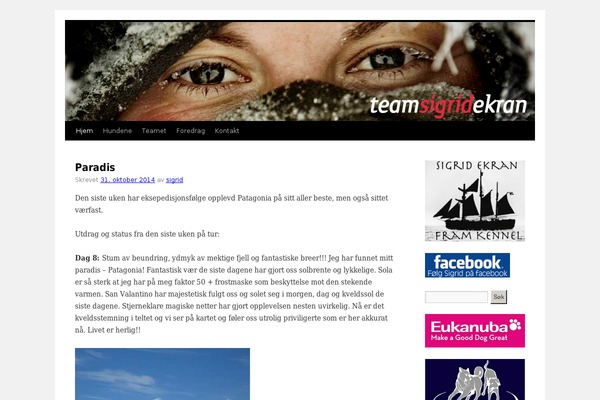 Bard theme site design template sample