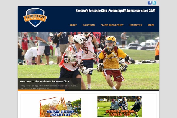 Site using Brizy-pro plugin