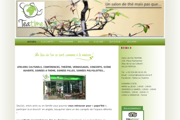 TeaTime theme websites examples