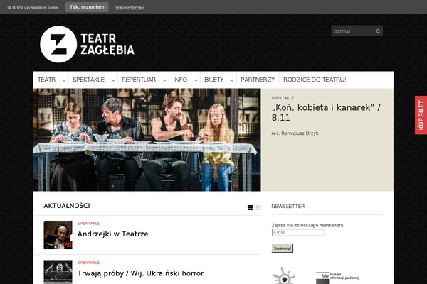 teatrzaglebia.pl site used Teatrzaglebia