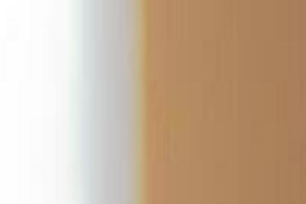 Twenty Seventeen theme site design template sample