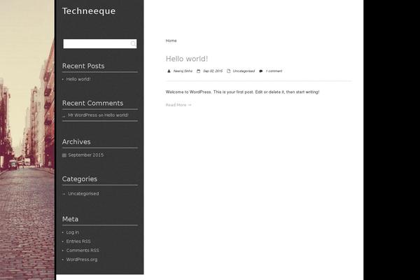 techneeque.com site used SinglePage