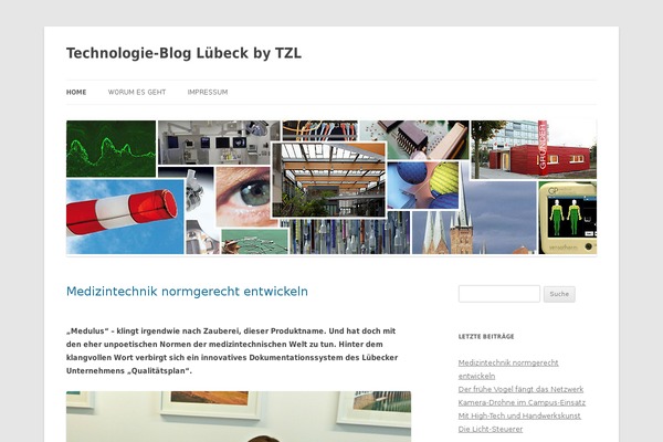 Twentytwelve-child theme site design template sample