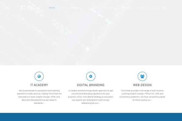 Site using WP Twitter Feeds plugin